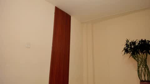 llllSupra llll online show from December 2025 08:04:01 PM