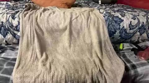 Stony online show from March 2025 09:48:01 PM