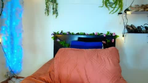 Sussan Oconell online show from June 2026 02:04:01 PM