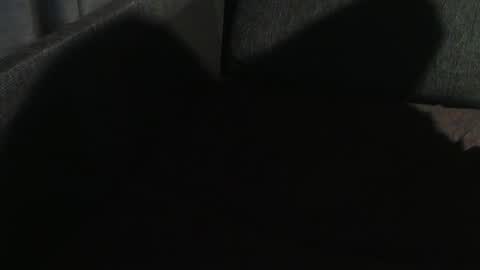 ArnSwart online show from January 2025 11:03:02 PM