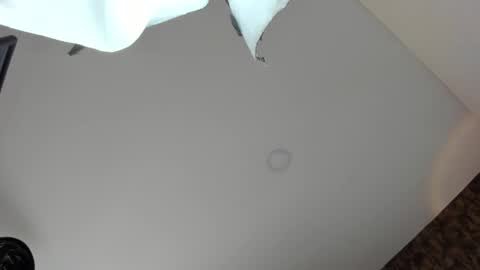 Snapshot of sweet__vanessa1 chatting on April 2026 09:01:01 PM Vanessa online show from April 2026 09:01:01 PM