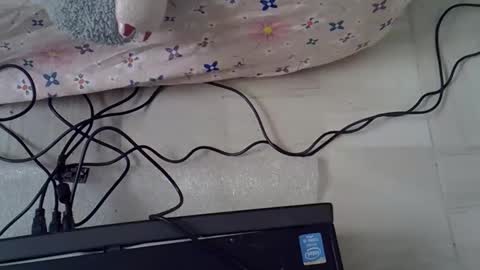 Carramel online show from January 2026 10:06:01 AM