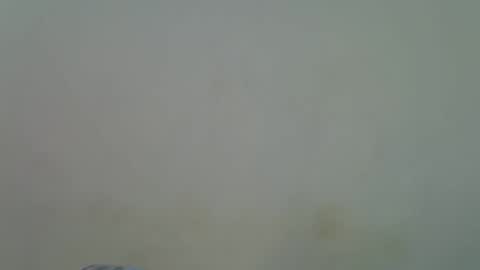 Alura online show from November 2025 09:02:02 AM