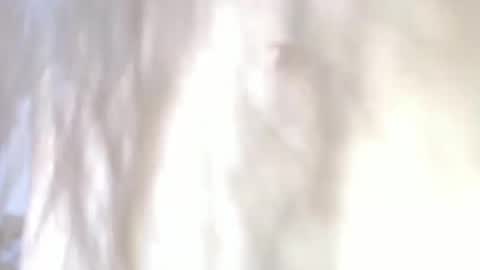 sweetdam12 online show from December 2024 11:28:01 PM