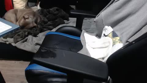 sweetgesus online show from November 2025 03:57:01 PM