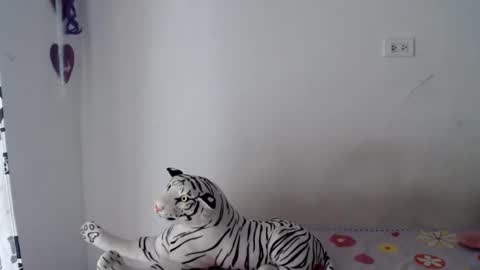 sweetgirsl online show from April 2026 07:20:01 PM