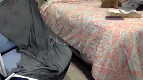 WeAim2PZzz online show from February 2025 11:43:02 PM