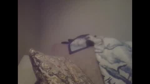 sweetbrowneyes623 online show from January 2025 01:41:02 AM