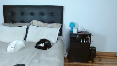 iris online show from December 2025 05:02:02 AM