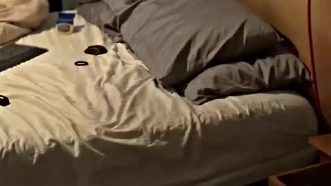 SissyDenver online show from November 2025 08:25:02 AM