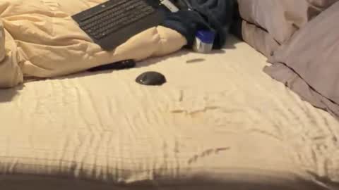 SissyDenver online show from December 2025 11:05:01 AM