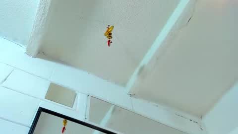 Tafari Zulu online show from March 2026 05:08:02 AM