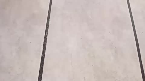 tall6feet7inch online show from September 2025 10:29:01 AM