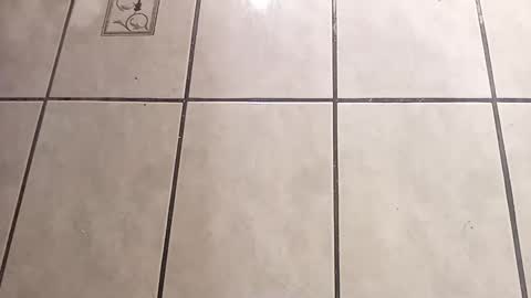 tall6feet7inch online show from October 2025 09:04:02 AM