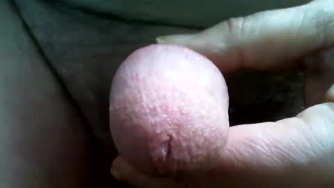 tallgentleman online show from December 2024 05:35:02 PM