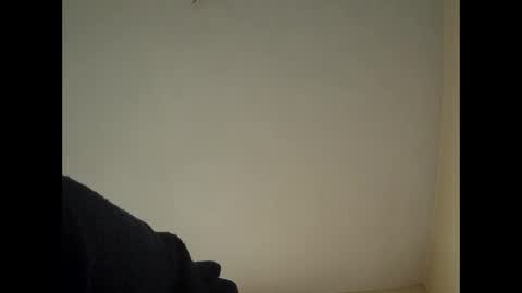 Beliqnegar online show from February 2026 07:49:01 AM