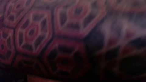 tatted420stoner online show from October 2025 03:27:01 AM