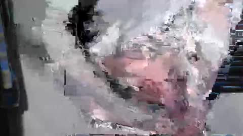 tattooedteaseme online show from February 2026 11:56:02 PM