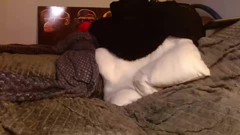 Jean pool online show from March 2026 05:45:01 PM