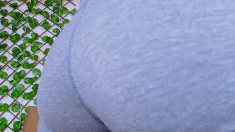 Taty Miller online show from February 2026 07:21:02 PM