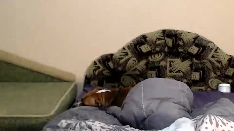 Snapshot of tayagirl chatting on February 2025 11:27:01 PM Taya online show from February 2025 11:27:01 PM