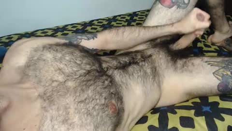 Taylor online show from January 2026 03:39:02 PM