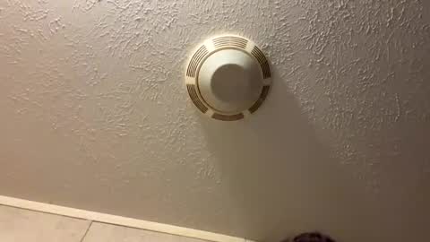 Lilbeebs online show from October 2025 10:58:01 PM