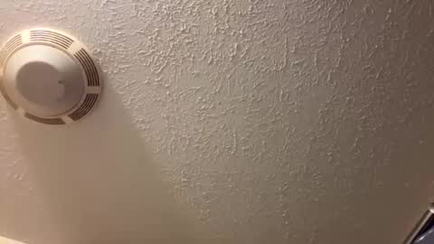 Lilbeebs online show from March 2026 04:45:02 PM