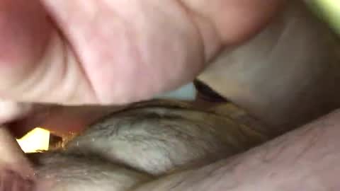 Tbiz82 online show from February 2025 05:24:01 AM