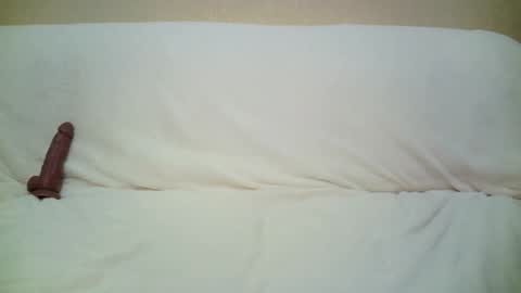 teach4kitty online show from September 2025 07:30:01 PM