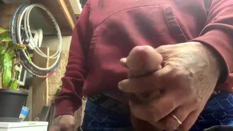 teet69 online show from February 2026 11:38:02 PM