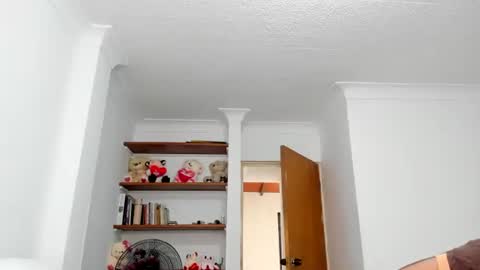 Snapshot of teles10 chatting on February 2025 01:30:01 PM Teles2023 online show from February 2025 01:30:01 PM