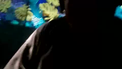 Snapshot of tennesseea chatting on November 2025 03:23:01 PM tennesseea online show from November 2025 03:23:01 PM