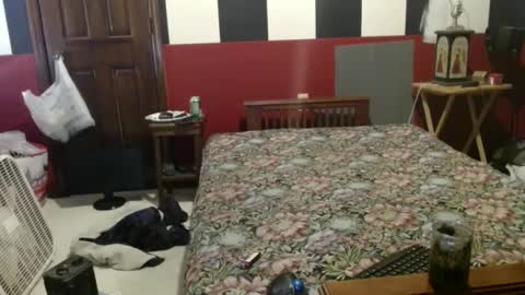 Snapshot of terdy2366 chatting on December 2024 08:07:02 PM terdy2366 online show from December 2024 08:07:02 PM