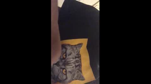 Snapshot of tericmidnight chatting on December 2025 12:27:01 AM Call me Jason online show from December 2025 12:27:01 AM