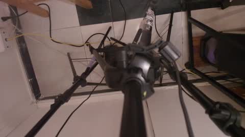 Terra Elowen online show from December 2025 11:29:01 AM