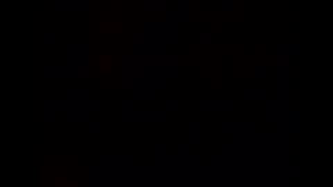 terrywillow online show from April 2026 03:40:02 AM