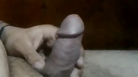 Snapshot of texasbigdaddy63 chatting on September 2025 10:43:02 PM texasbigdaddy63 online show from September 2025 10:43:02 PM