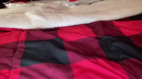 Snapshot of texashotrod chatting on December 2024 06:59:02 AM Derick online show from December 2024 06:59:02 AM