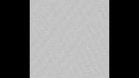 Snapshot of texpig chatting on September 2025 12:09:02 PM TexPig online show from September 2025 12:09:02 PM