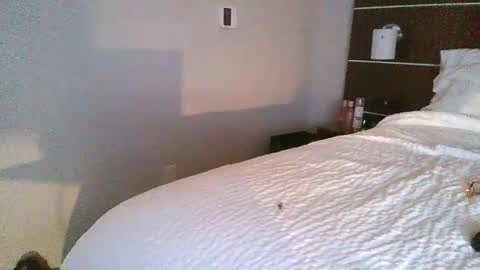 tfoolery34 online show from February 2026 11:52:01 AM