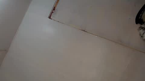 Snapshot of tgirl_luna69 chatting on March 2025 03:06:01 AM Luna online show from March 2025 03:06:01 AM