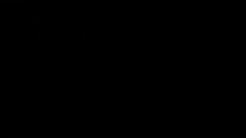 CJ online show from December 2024 06:01:02 AM