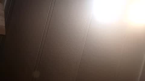 thatb1 online show from February 2025 10:40:02 AM