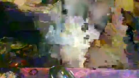 the_dragonlord1 online show from March 2026 04:08:02 AM