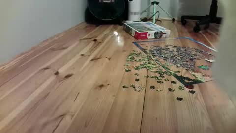 Snapshot of the_naked_pianists chatting on September 2025 09:26:02 PM Stephan 34 Cassandra 25 online show from September 2025 09:26:02 PM