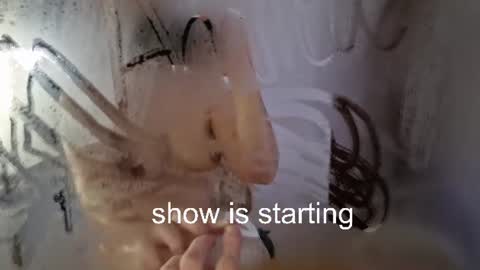 Snapshot of the_pussy_boulevard chatting on July 2026 11:06:02 PM Anna online show from July 2026 11:06:02 PM