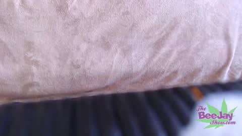 TheBeeJayShow online show from December 2024 11:30:02 AM