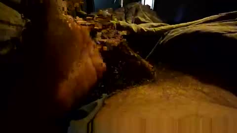 Snapshot of thebest153 chatting on April 2026 02:26:01 PM thebest153 online show from April 2026 02:26:01 PM