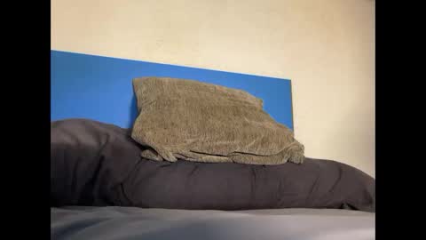 Snapshot of thebulge_b0y chatting on October 2025 08:48:02 AM thebulge_b0y online show from October 2025 08:48:02 AM